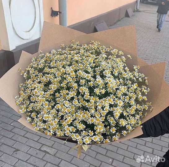 Букеты. Доставка ромашек