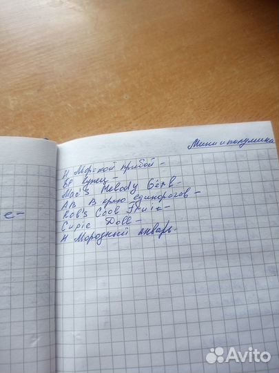 Листики сортовых фиалок