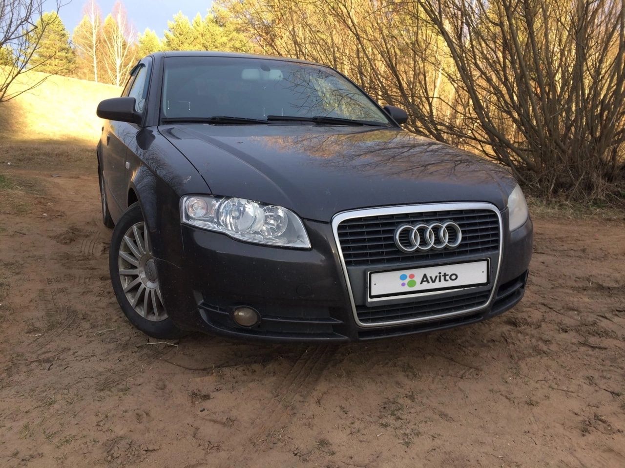 Audi A4: фото владельца