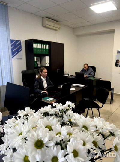 Бизнес под ключ по банкротству