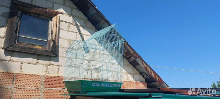 Клетка для животных большая