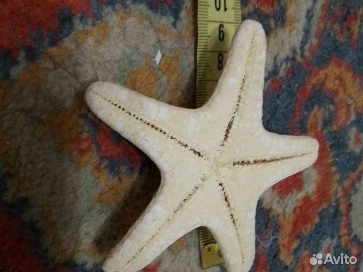 Морская звезда