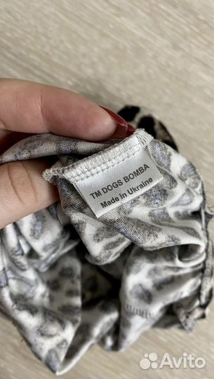 Одежда для собак