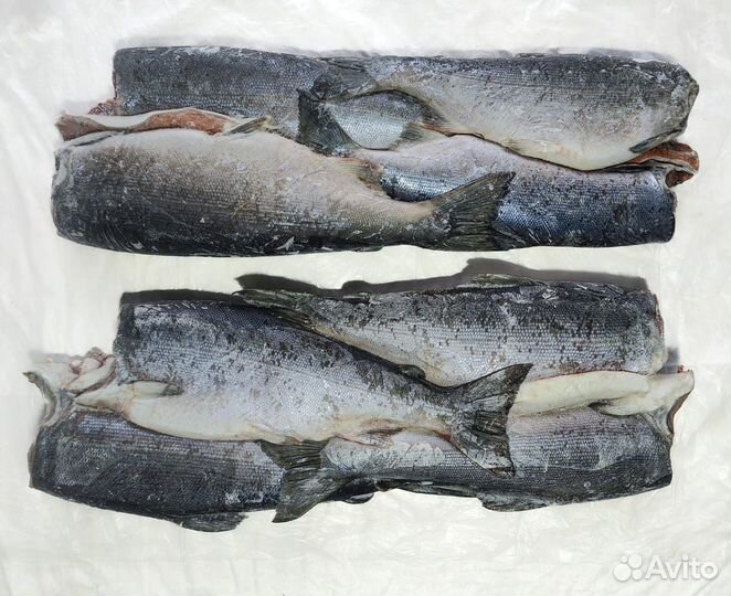 Рыба свежемороженая