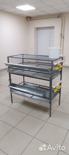 Клетки для содержания птицы