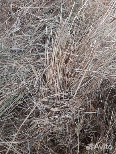 Сено в мешках