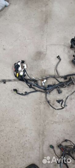 Проводка моторная solaris 1