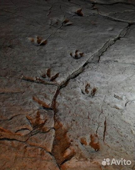 Тбилиси Топ-Экскурсия Исторический калейдоскоп: от