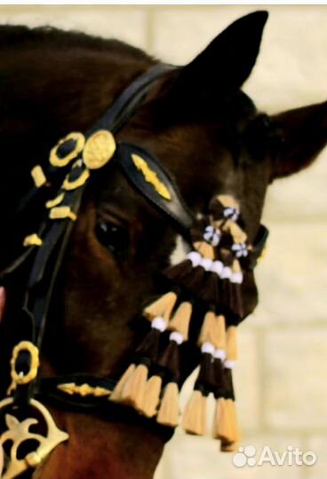 Амуниция для лошади