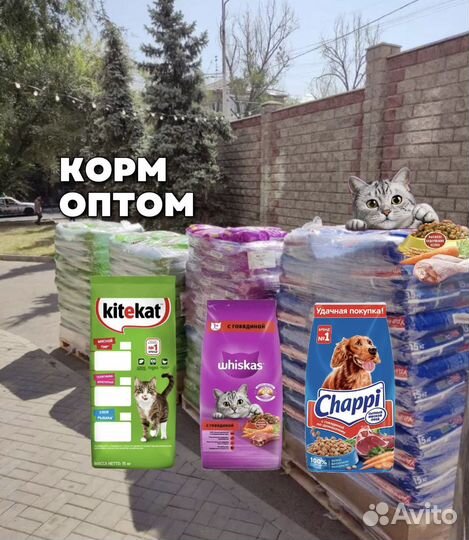 Китекет, Чаппи, Вискас оптом (сухой, влажный корм)