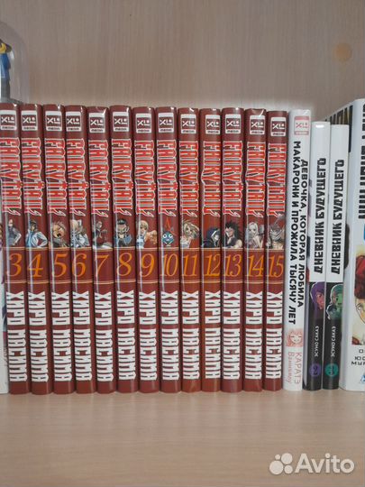 Манга Fairy tail дневник будущего