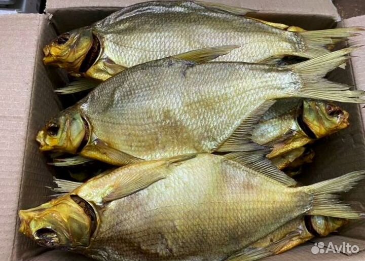 Рыба вяленая речная Астраханская свежая оптом