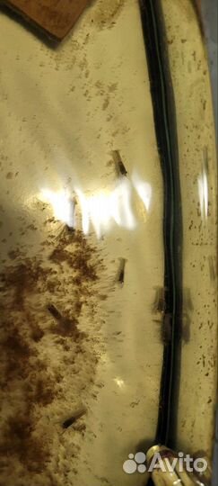 Австралийский красноклешневый рак