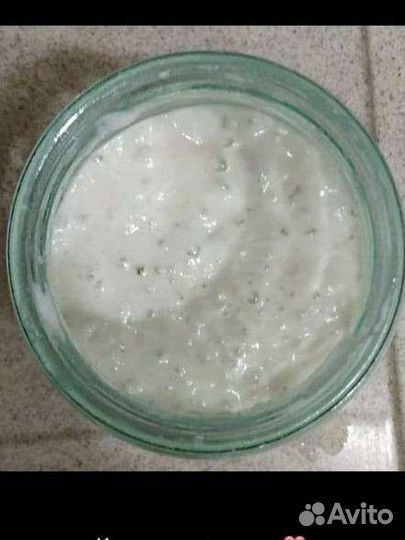 Пшеничная закваска 100 влажности