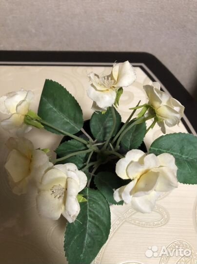 Фиалка искусственная, Икея