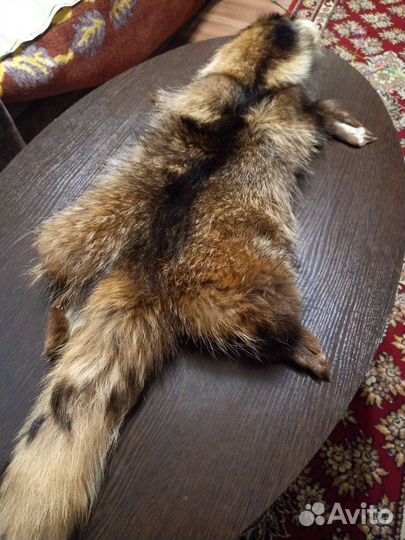 Шкура енота