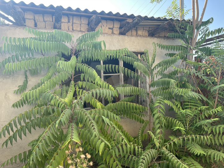 Дача 80 м² на участке 16 сот.