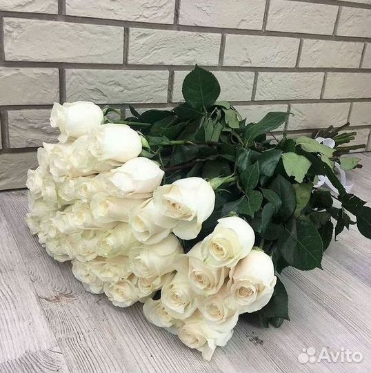 Розы гиганты 140 150 160 170 180 200