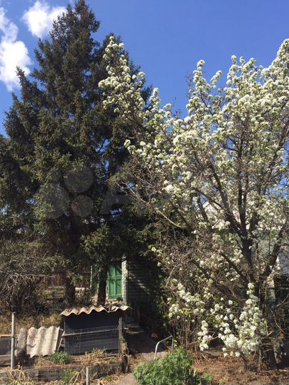 Участок 4,6 сот. (ИЖС)