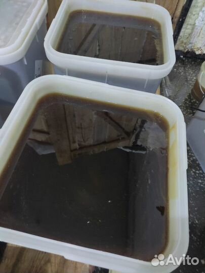 Мёд оптом таёжный