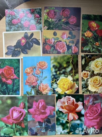 Открытки СССР