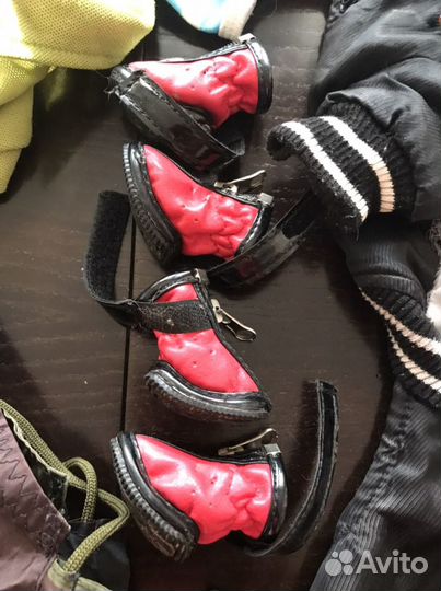 Одежки для йорка