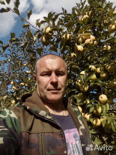 Услуги Агронома.Онлаин консультации