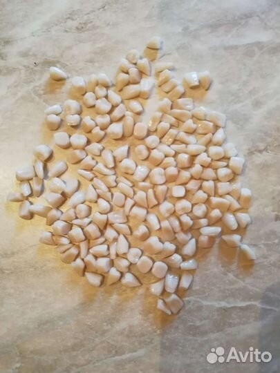 Медицинский инструмент СССР