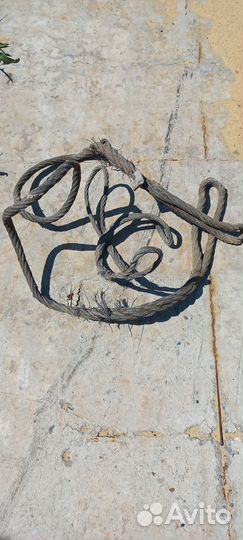 Подстропники