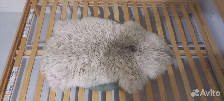 Шкурка животного (горный козлик)