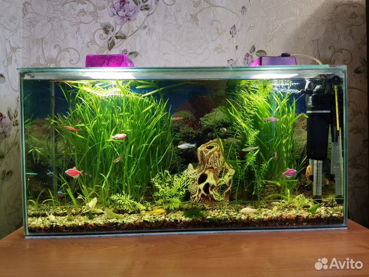 Продам 3 аквариума