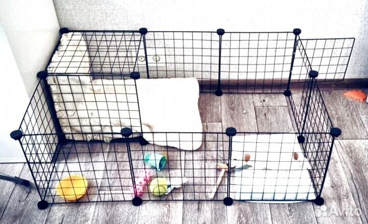 Вольер манеж