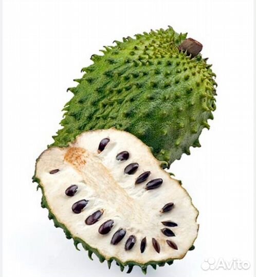 Аннона (сметанное яблоко )