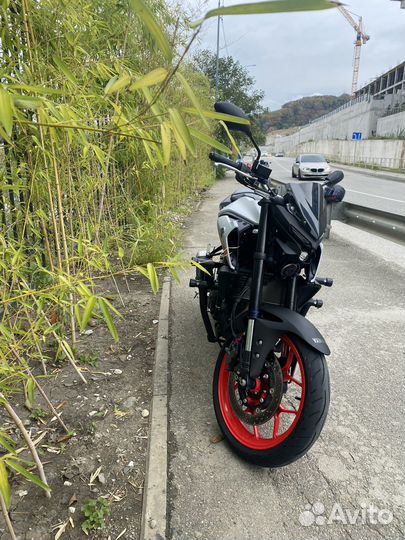 Yamaha MT 03