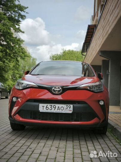 Аренда авто автопрокат Toyota CH-R