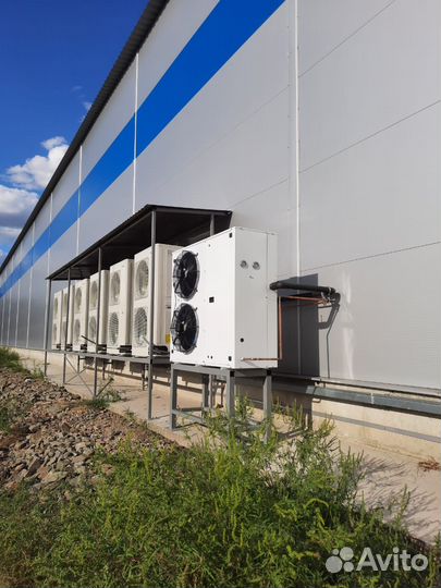 Холодильный камера из сэндвич-панелей под ключ