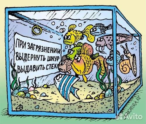 Обслуживание аквариумов