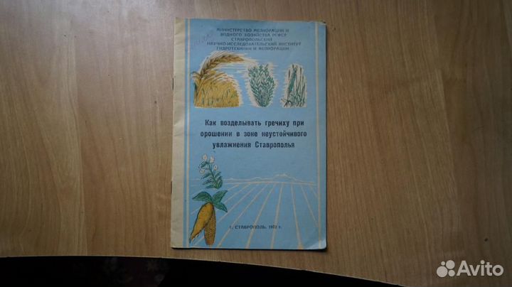 4237,24 как возделывать гречиху при орошении в зон
