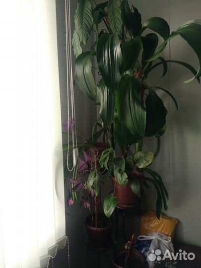 Отличная подставка 9-ти этажная вместе с цветами и