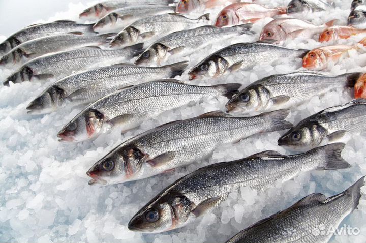 Продается магазин рыбы в популярной локации