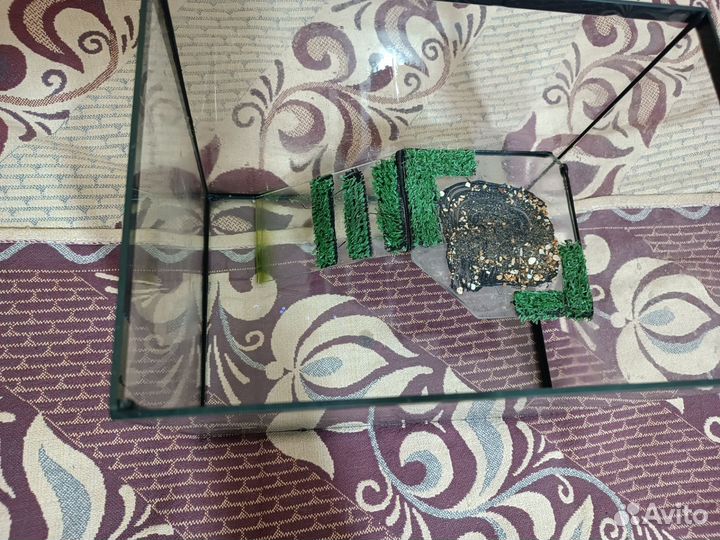 Аквариум для черепахи