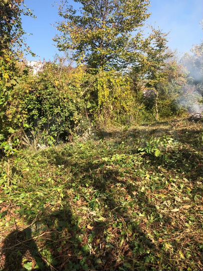 Участок 9 сот. (СНТ, ДНП)