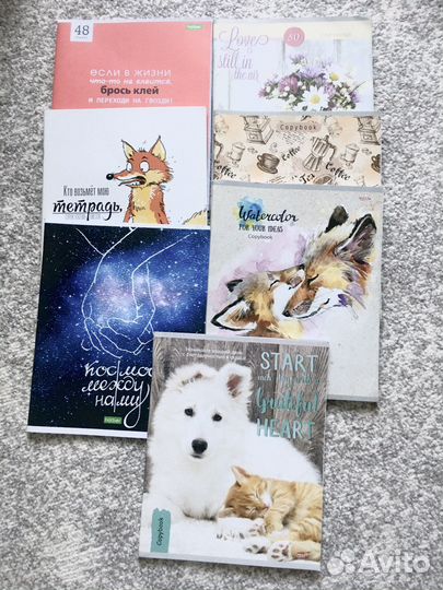 Точилка для карандашей, блокноты и школьный пенал