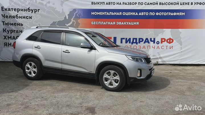 Петли двери передней левой Kia Sorento (XM)