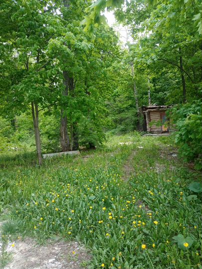 Участок 50 сот. (ИЖС)