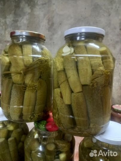 Огурцы соленые вкусные