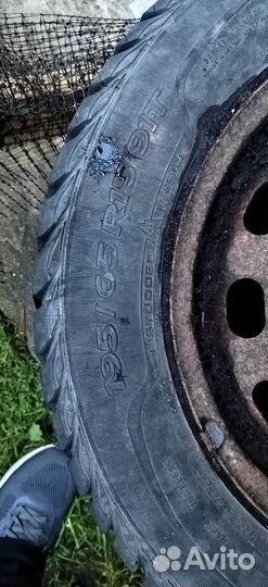 Sava Eskimo Stud 195/65 R15