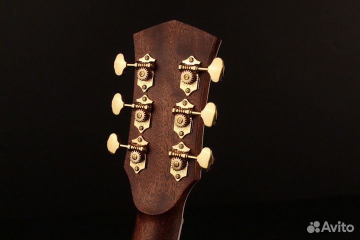 Электроакустическая гитара Cort Gold-A8-wcase-LB