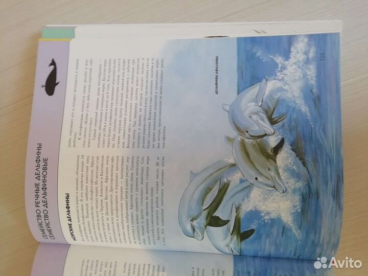 Детская энциклопедия животные