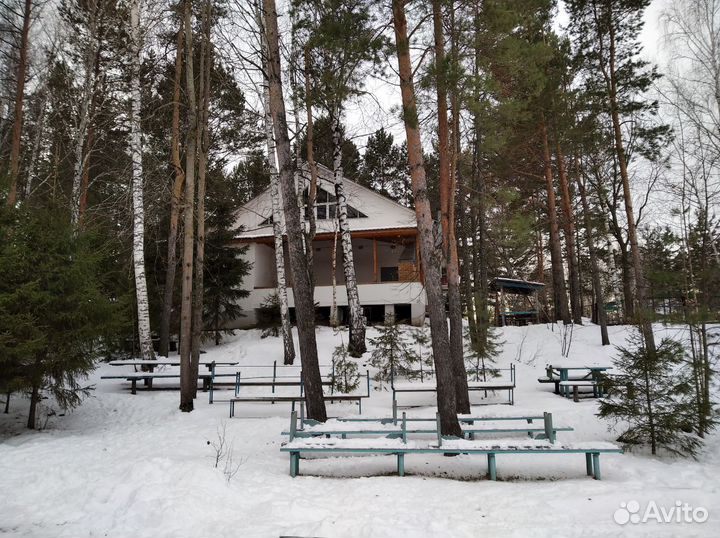 Проект освоения лесов, лесная декларация, отчеты